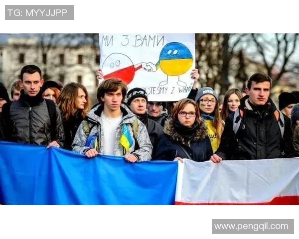 日本与波兰的文化碰撞与经济合作新机遇探讨